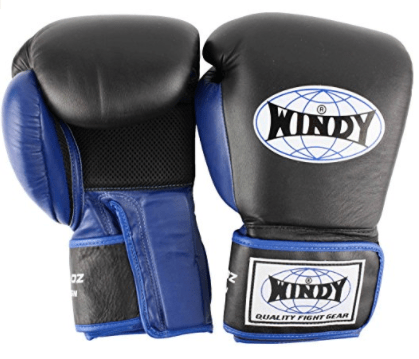 muay thai gloves for beginners