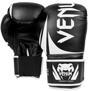 recommended boxing gloves for beginners