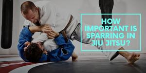 How Important Is Sparring In Jiu Jitsu?