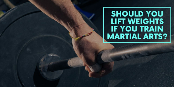 You are currently viewing Should You Lift Weights If You Train Martial Arts?