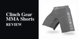 Read more about the article Clinch Gear MMA Shorts Review