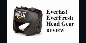 Read more about the article Everlast EverFresh Head Gear Review