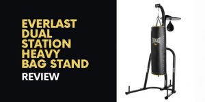 Read more about the article Everlast Dual Station Heavy Bag Stand Review