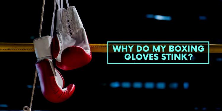You are currently viewing Why Do My Boxing Gloves Stink?