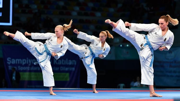 Image result for karate