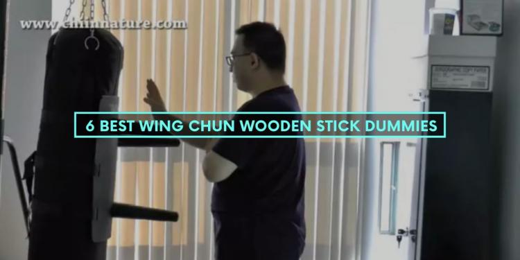 6 Best Wing Chun Wooden Stick Dummies