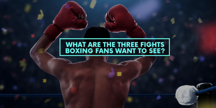 What are the Three Fights Boxing Fans Want to See in 2019?
