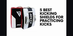 5 Best Kicking Shields for Practicing Kicks
