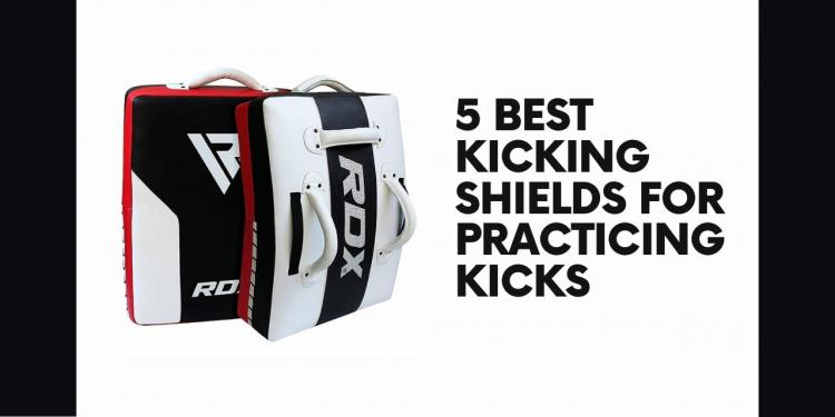 You are currently viewing 5 Best Kicking Shields for Practicing Kicks