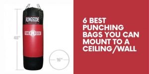 Read more about the article 6 Best Punching Bags You Can Mount To A Ceiling/Wall