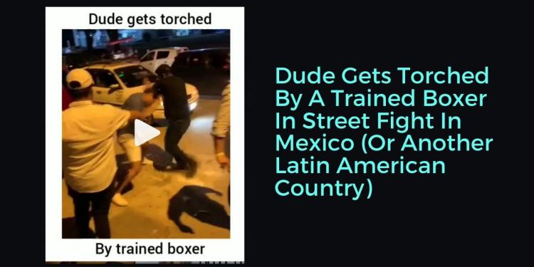Dude Gets Torched By A Trained Boxer In Street Fight In Mexico (Or Another Latin American Country)